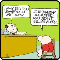 Common-Job-Interview-Questions-Funny-Cartoon